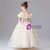 Champagne Tulle Lace Appliques Flower Girl Dress