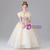 Champagne Tulle Lace Appliques Flower Girl Dress
