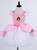 Pink Princess Baby Girl Birthday Party Tulle Dresses Kids Cosplay Halloween