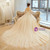 Ball Gown Backless Long Sleeve Wedding Dress