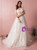 Plus Size A-Line V-neck White Tulle Train Wedding Dress