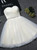 In Stock:Ship in 48 hours Champagne Tulle With Crystal Homecoming Dress