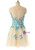 Boat Neck Champagne Tulle Prom Party Dress 