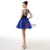 Blue Tulle Sleeveless Embroidery Beading Homecoming Dress