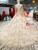 Ball Gown Tulle Appliques Beading Backless Train Wedding Dress