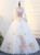 In Stock:Ship in 48 hours White Long Sleeve Tulle Quinceanera Dresses