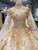 Champagne Ball Gown Long Sleeve Sequins Appliques Wedding Dress