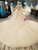 Champagne Tulle Sequins Bateau Neck Backless Long Train Wedding Dresses