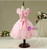 In Stock:Ship in 48 Hours Short Pink Tulle Cinderella dress Frozen