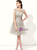 Gray Tulle Appliques Backless Sleeveless Knee Length Bridesmaid Dress