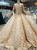Champagne Ball Gown Tulle Long Sleeve Sequins Appliques Wedding Dress