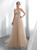 Champagne Tulle Sweetheart Neck Appliques Wedding Dress