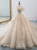 Champagne Ball Gown Tulle Lace Appliques Off The Shoulder Haute Couture Wedding Dress