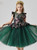 In Stock:Ship in 48 Hours Green Tulle Embroidery Flower Girl Dress