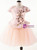 In Stock:Ship in 48 Hours  Pink Tulle Cap Sleeve Flower Girl Dress With Hand Flower