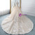 Champagne Ball Gown Tulle Sequins Bling Bling V-neck Wedding Dress