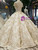 Champagne Ball Gown Lace Appliques Cap Sleeve Backless Wedding Dress With beading