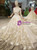 Champagne Tulle Sequins V-neck Long Sleeve Wedding Dress With Appliques