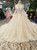 Light Champagne Sequins Appliques Long Sleeve off The Shoulder Wedding Dress With Long Train