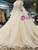 Light Champagne Sequins Appliques Long Sleeve off The Shoulder Wedding Dress With Long Train