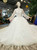 Light Champagne Ball Gown Lace High Neck Long Sleeve Backless Wedding Dress