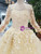 Light Champagne Tulle Appliques Long Sleeve Floor Length Wedding Dress