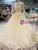 Light Champagne Tulle Appliques Long Sleeve Floor Length Wedding Dress