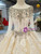 Light Champagne Tulle Sequins Long Sleeve Backless Appliques Wedding Dress