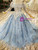 Blue Princess Ball Gown Tulle Appliques Long Sleeve Wedding Dress