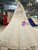 Champagne Tulle Sequins Appliques Spaghetti Straps Long Sleeve Wedding Dress