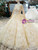 Champagne Tulle Appliques Bateau Long SLeeve Wedding Dress With Beading