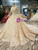 Champagne Ball Gown Lace Sequins Long Sleeve Wedding Dress With Train