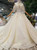 Champagne Ball Gown Deep V-neck Backless Tulle Sequins Appliques Wedding Dress