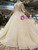 Champagne Ball Gown Deep V-neck Backless Tulle Sequins Appliques Wedding Dress