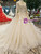 Chamapgne Ball Gown Tulle Sequins Appliques Backless Long Sleeve Wedding Dress