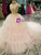 Pink Ball Gown Tulle High Neck Cap Sleeve Backless Appliques Wedding Dress