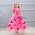 In Stock:Ship in 48 Hours Fuchsia Tulle Cinderella Dress With Butterfly