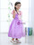 In Stock:Ship in 48 Hours Purple And Pink Cap Sleeve Princess Dress