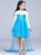 In Stock:Ship in 48 Hours Blue Tulle Sequins Long Sleeve Aisha Princess Dress