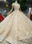 Champagne Ball Gown Lace Tulle Off The Shoulder Wedding Dress With Train