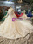 Champagne Ball Gown Tulle Long Sleeve Backless Appliques Wedding Dress With Removable Train