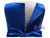 In Stock:Ship in 48 Hours Dark Blue Tulle Flower Girl Dress With Pearls