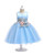 In Stock:Ship in 48 Hours Blue Tulle Appliques Princess Dress