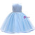 In Stock:Ship in 48 Hours Blue Tulle Appliques Princess Girl Dress