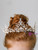 Children's Hair Accessories Crown Tiara Princess Crown Hairband