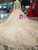 Champagne Ball Gown Tulle Sequins Long Sleeve Appliques Wedding Dress