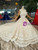 Champagne Ball Gown Tulle Appliques Backless Wedding Dress With Train