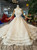 Champagne Ball Gown Tulle Appliques Backless Wedding Dress With Train