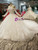 Light Champagne Ball Gown Tulle Appliques Off The Shoulder Long Sleeve Wedding Dress