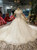 Light Champagne Ball Gown Tulle Appliques Off The Shoulder Wedding Dress With Long Train